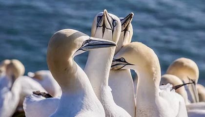 得知帕瓦尔加盟马赛，卢卡斯：我的朋友，你对我做了什么啊